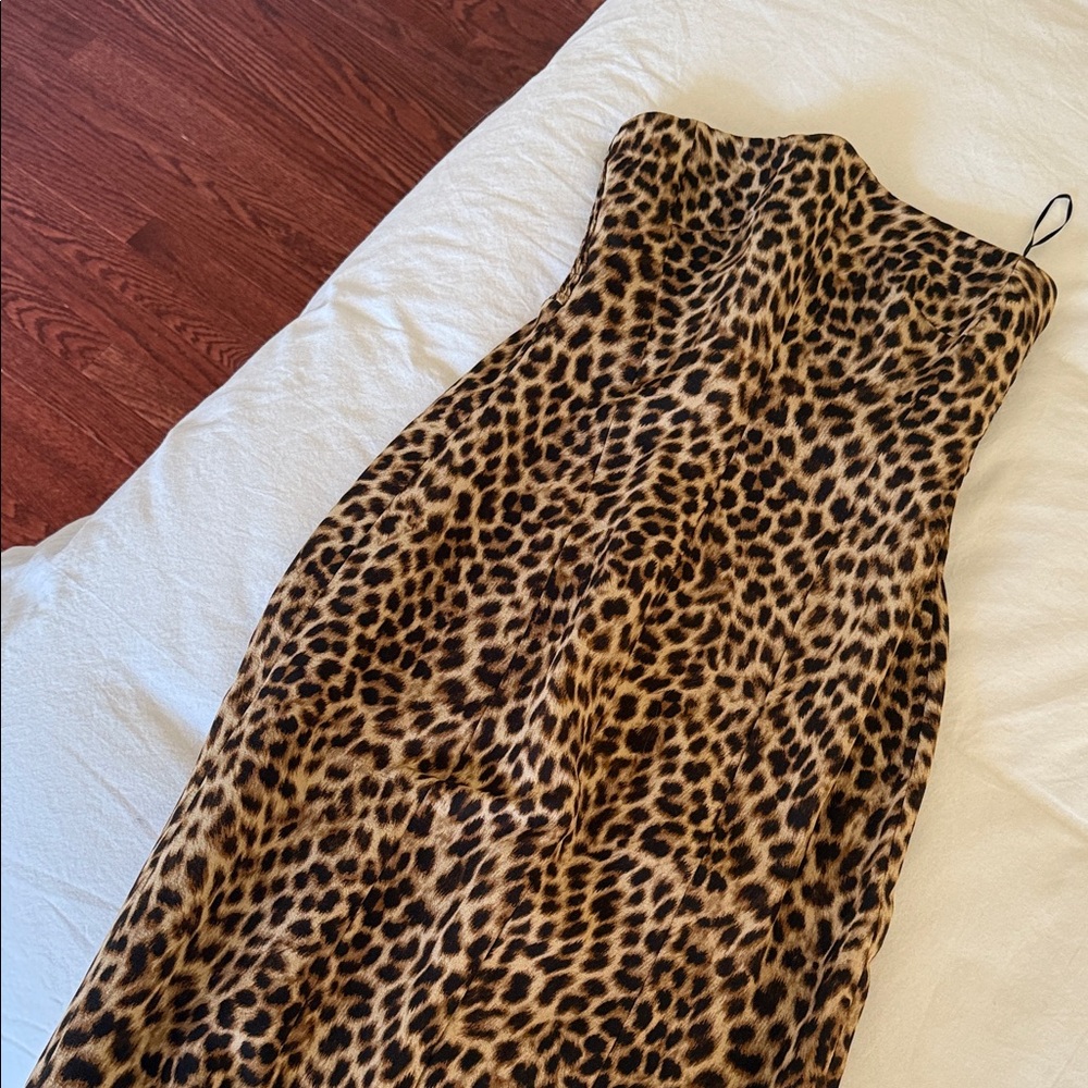 Zara cheetah maxi dress